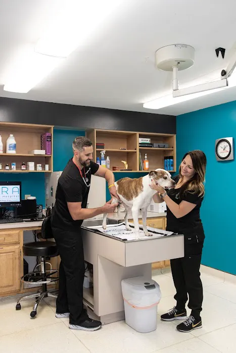 Nora Veterinary Hospital 3