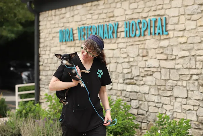 Nora Veterinary Hospital 10