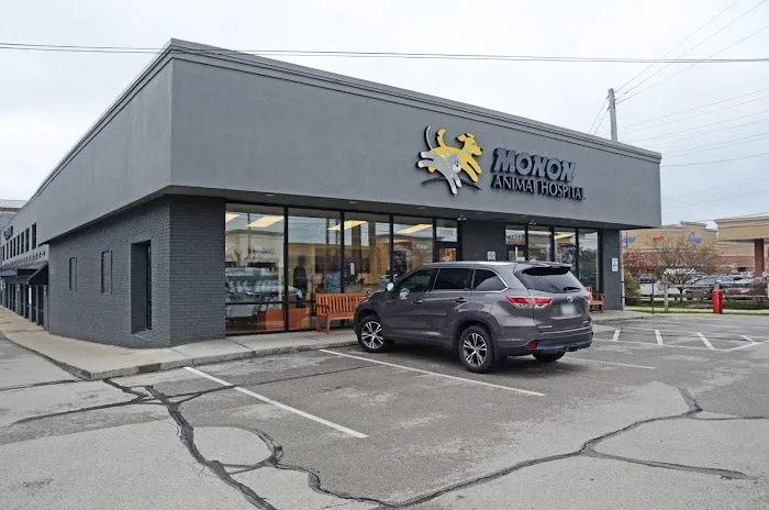 Monon Animal Hospital 2