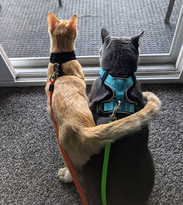 Monon Animal Hospital 1