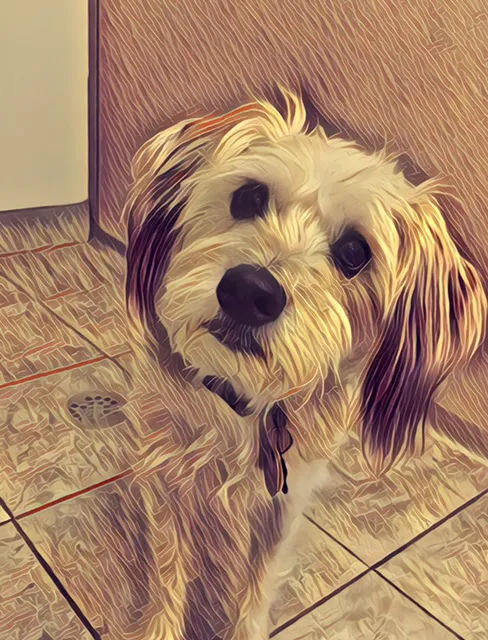 Monon Animal Hospital 3