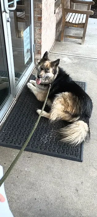 Zionsville Animal Hospital 4