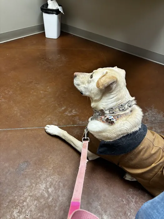 Zionsville Animal Hospital 2