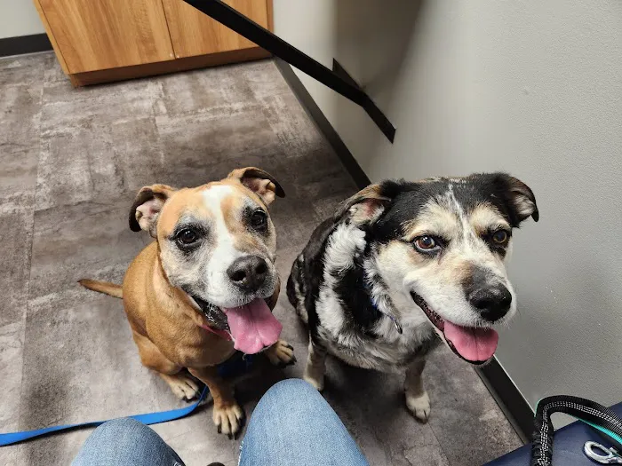 Pet Clinic of Brownsburg 7