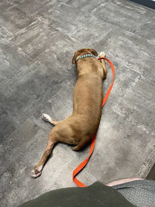 Pet Clinic of Brownsburg 9