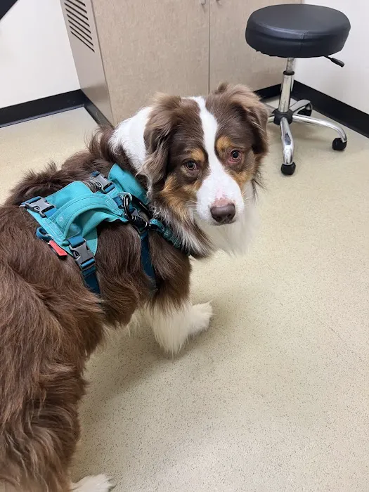 Zionsville Country Vet Clinic 6