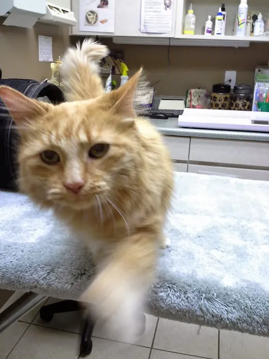 Zionsville Country Vet Clinic 9