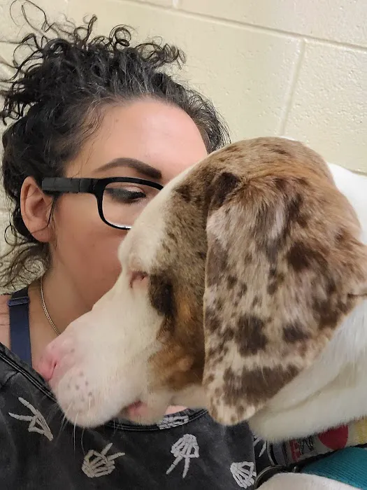 Avalon Pet Wellness Clinic 7