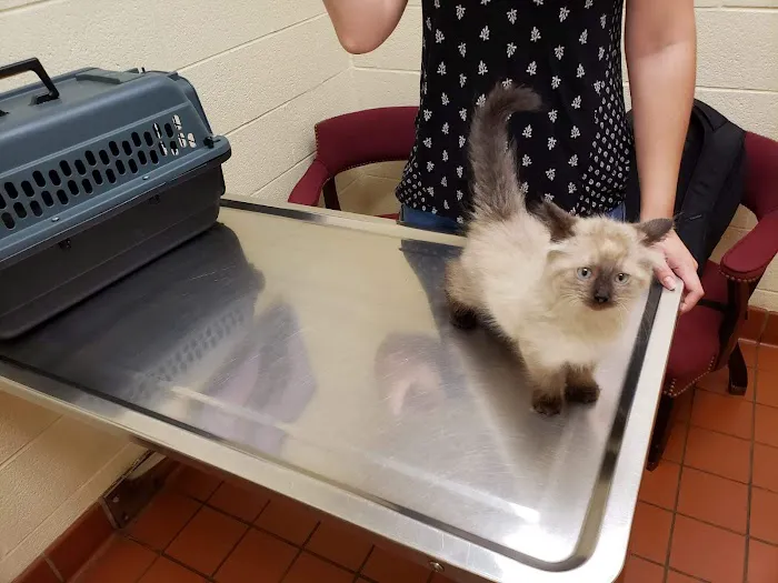 Avalon Pet Wellness Clinic 8