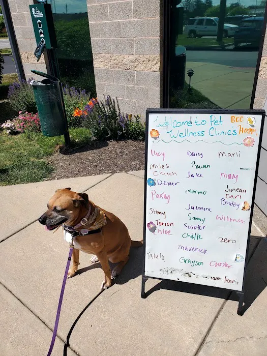 Binford Pet Wellness Clinic 1