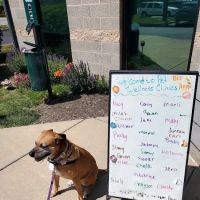 Binford Pet Wellness Clinic ico