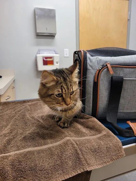Binford Pet Wellness Clinic 2