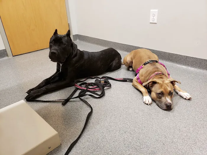 Binford Pet Wellness Clinic 3