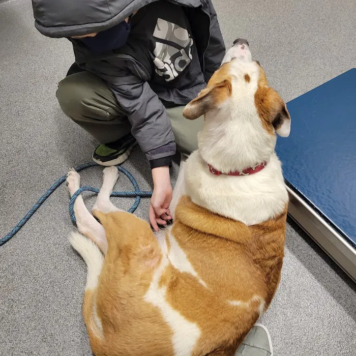 Binford Pet Wellness Clinic 5
