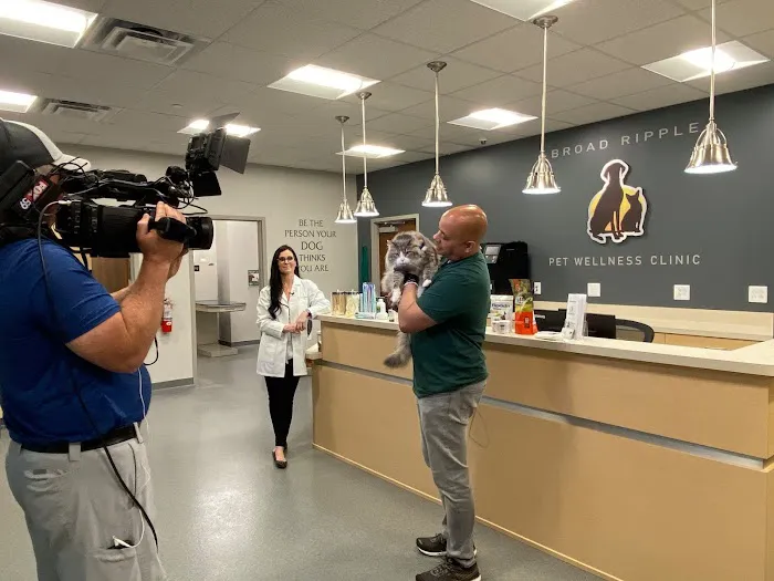 Broad Ripple Pet Wellness Clinic 3