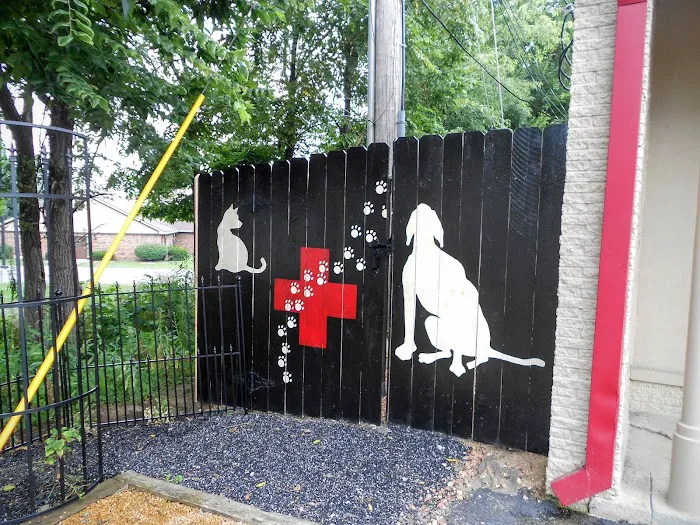 The Paw Patch Place 4