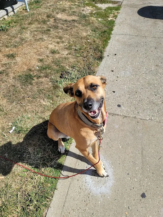 Banfield Pet Hospital 8