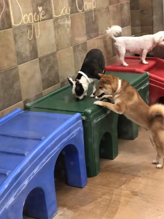 Banfield Pet Hospital 6