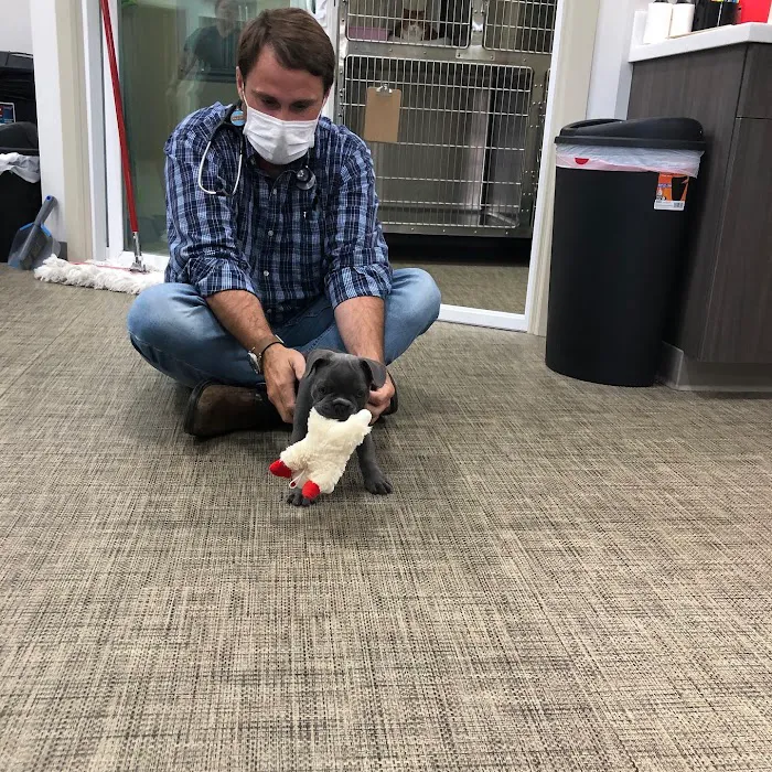Clayton Family Veterinary Care 12