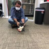 Clayton Family Veterinary Care ico
