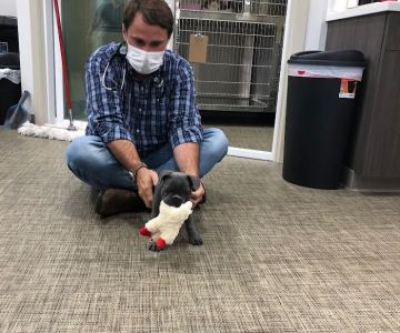 Clayton Family Veterinary Care