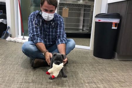 Clayton Family Veterinary Care