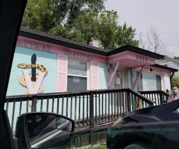 All Wild Things Exotic Animal Hospital