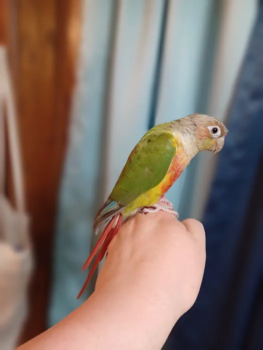 All Wild Things Exotic Animal Hospital 4