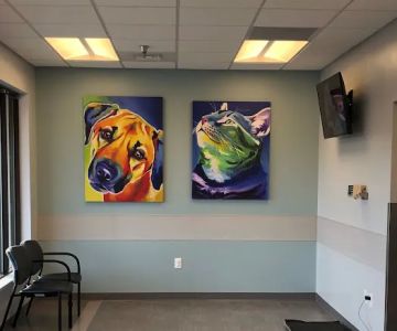 Carmel Veterinary Clinic