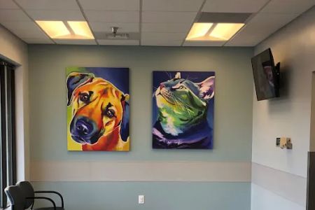 Carmel Veterinary Clinic