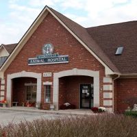 Allisonville Animal Hospital ico
