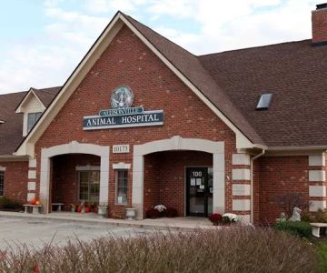 Allisonville Animal Hospital