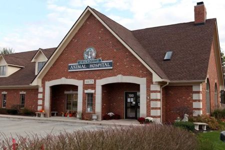 Allisonville Animal Hospital