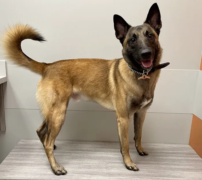 Fishers Veterinary Associates, LLC 7