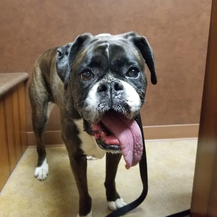 Fishers Veterinary Associates, LLC 10