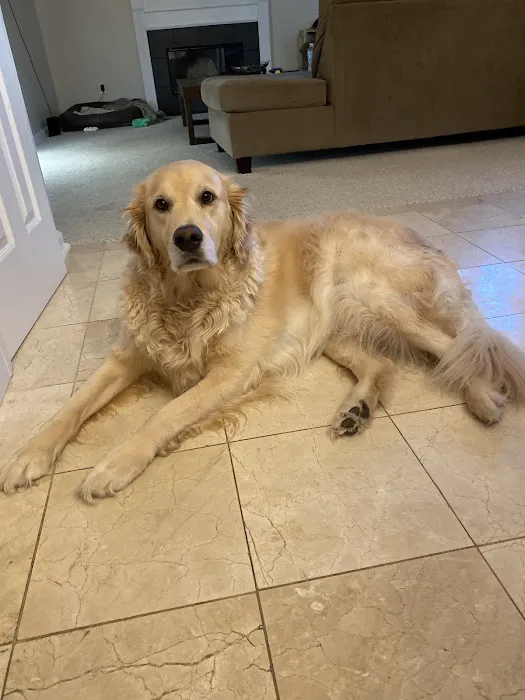 Geist Pet Wellness Clinic 6