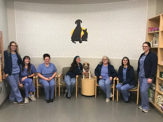 Geist Pet Wellness Clinic 1