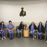 Geist Pet Wellness Clinic ico