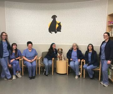 Geist Pet Wellness Clinic