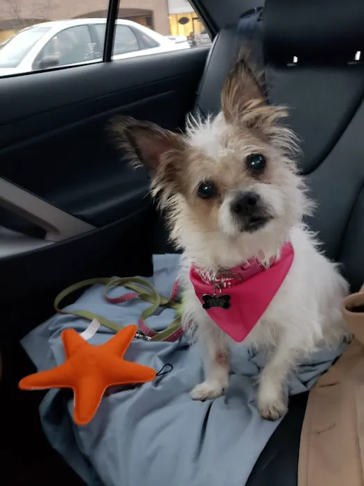 Geist Pet Wellness Clinic 5