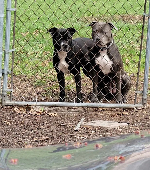 Geist Pet Wellness Clinic 7