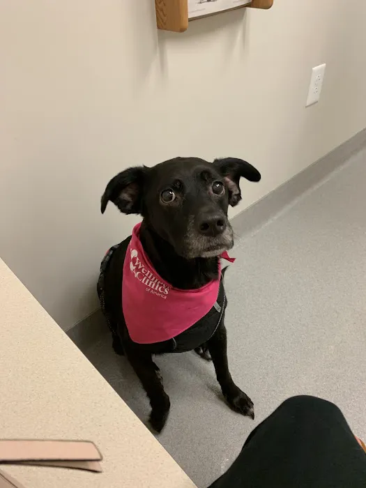 Geist Pet Wellness Clinic 8