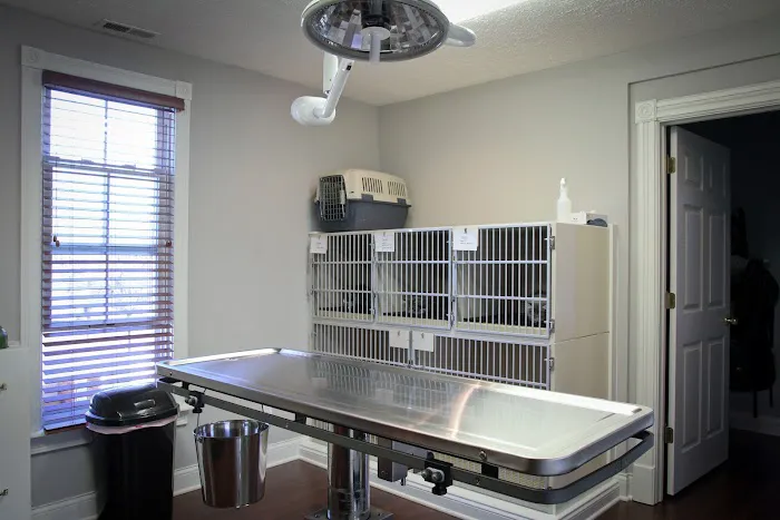 Cottage Animal Clinic of Carmel 12