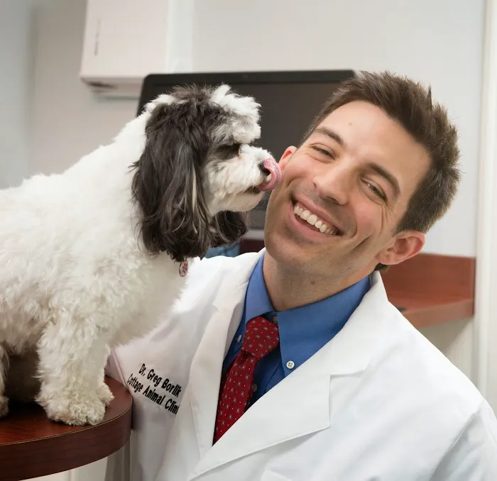 Cottage Animal Clinic of Carmel 12