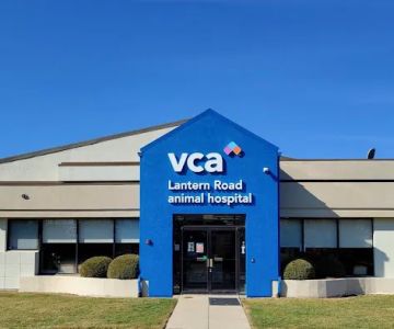 VCA Lantern Road Animal Hospital