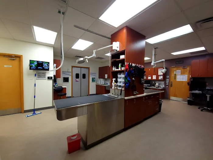 VCA Lantern Road Animal Hospital 5