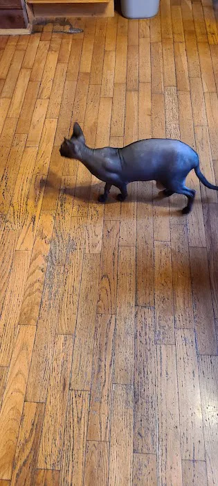 Log Cabin Animal Hospital 12