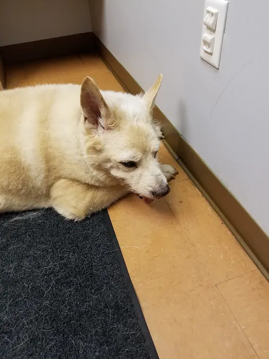 Woodland Animal Hospital 6