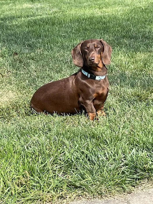 Fall Creek Veterinary Medical Center 12