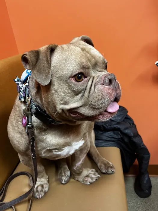 Fall Creek Veterinary Medical Center 12